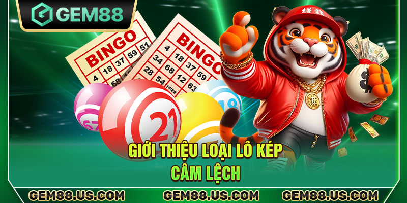 Giới thiệu loại lô kép câm lệch